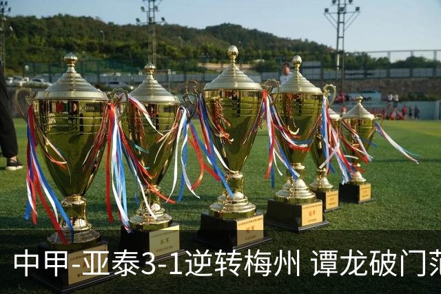 中甲-亚泰3-1逆转梅州 谭龙破门范厚泰造余炜廉乌龙 梅州仍旧垫底