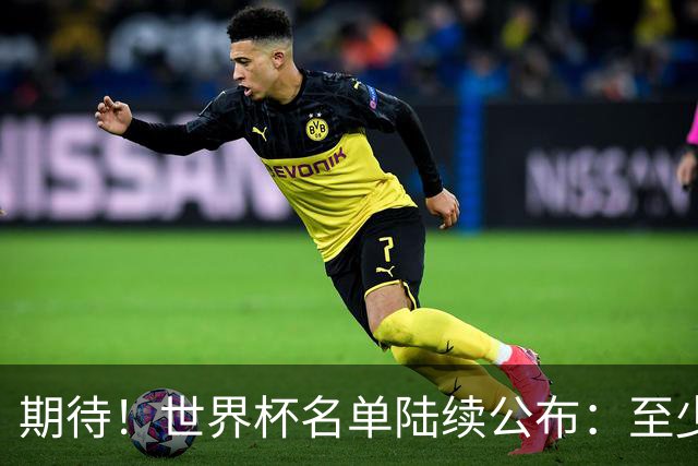 期待！世界杯名单陆续公布：至少有7名现役或前中超外援入选